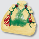 ウィロヴェスト®の使用説明