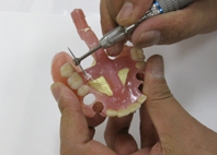 スプルーカット