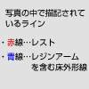 赤線→レスト、青線→レジンアートを含む床外形線
