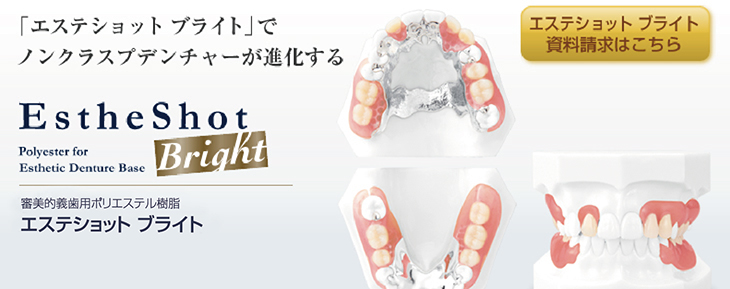 審美的義歯用ポリエステル樹脂EstheShotエステショットブライト