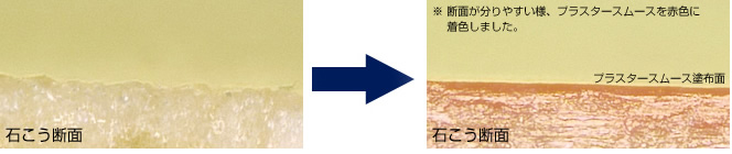 石こう断面図