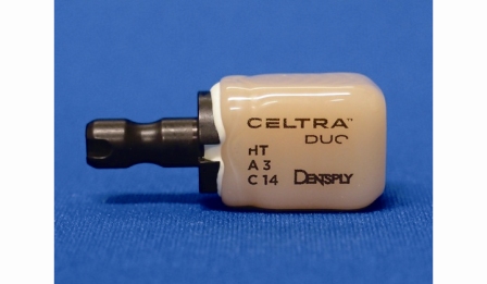 図３　Eichnerの分類