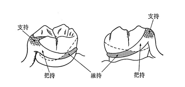 図1 クラスプの役割